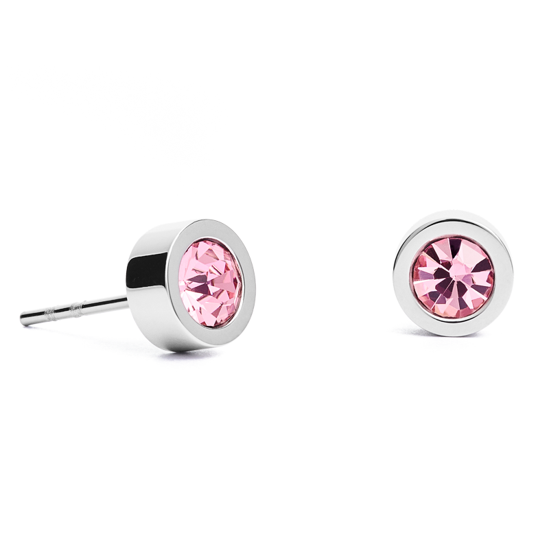 Earrings Crystal & stainless steel silver rose